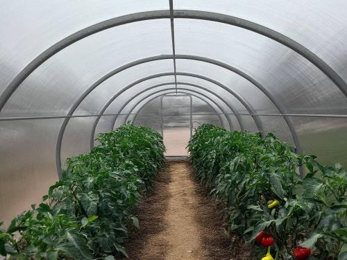 skleník LANITPLAST DODO 300 3x4 m PC 6 mm šedý