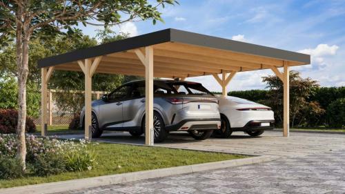 dvojitý carport KARIBU LEIMHOLZ 1 (12160)